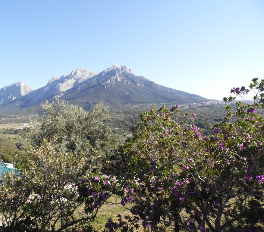 Villa L'Oleandro Олиена Екстериор снимка