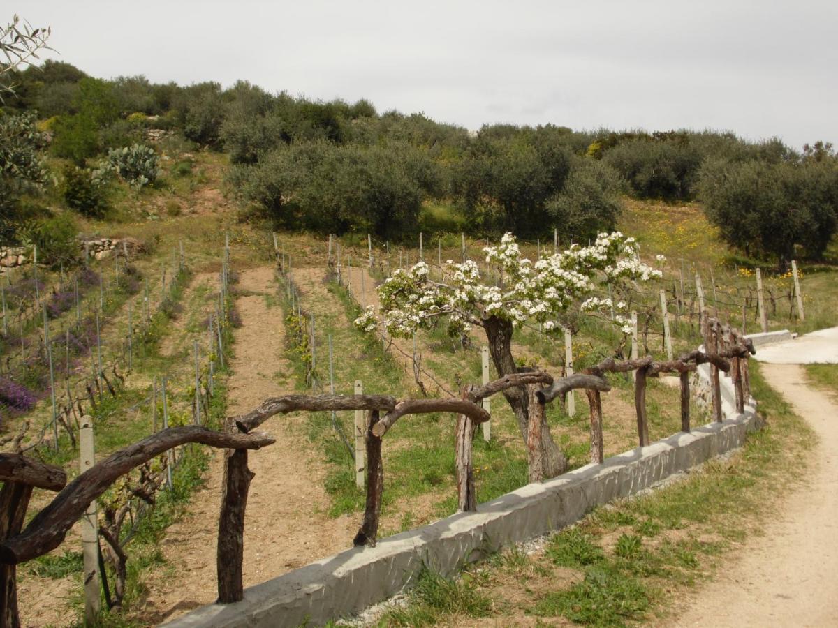 Villa L'Oleandro Олиена Екстериор снимка